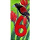 Kiwi Birds Ceramic Tile House Numbers